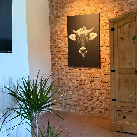 Falternhof - Geschichte Trifft Auf Design Apartman *